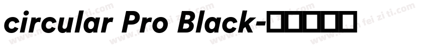 circular Pro Black字体转换